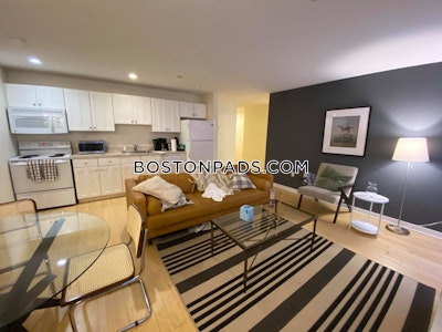 Downtown Apartment for rent 2 Bedrooms 1 Bath Boston - $4,000