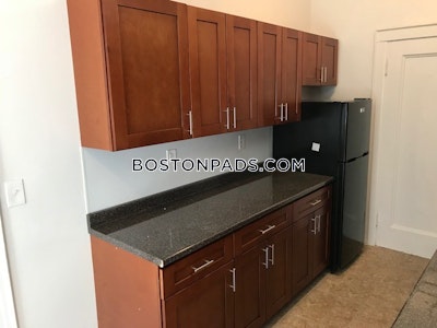 Brighton Apartment for rent 1 Bedroom 1 Bath Boston - $2,395 No Fee