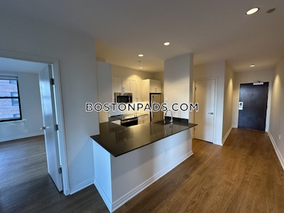 Downtown Apartment for rent 2 Bedrooms 2 Baths Boston - $4,493