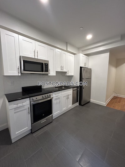 Brighton 2 Beds 1 Bath Boston - $2,995 No Fee