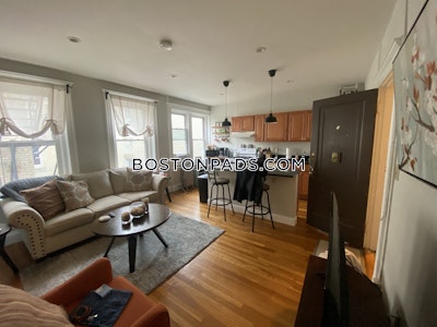 Allston Apartment for rent 1 Bedroom 1 Bath Boston - $2,550