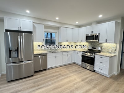 Brighton Apartment for rent 3 Bedrooms 3 Baths Boston - $4,200